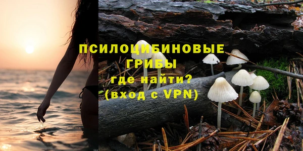 ALPHA PVP Горняк