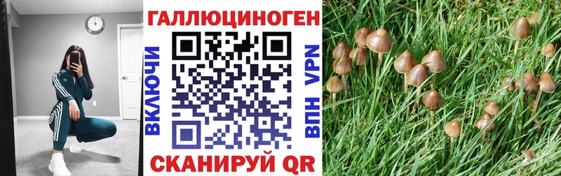 KRAKEN ONION  Опочка  Псилоцибиновые грибы мухоморы 